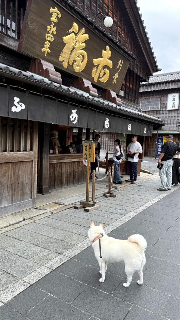 赤福本店の前のらむちゃん