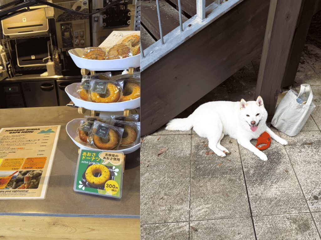 ミラドール志摩のカウンターと待っていたらむちゃん