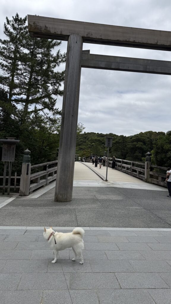 伊勢神宮鳥居と橋